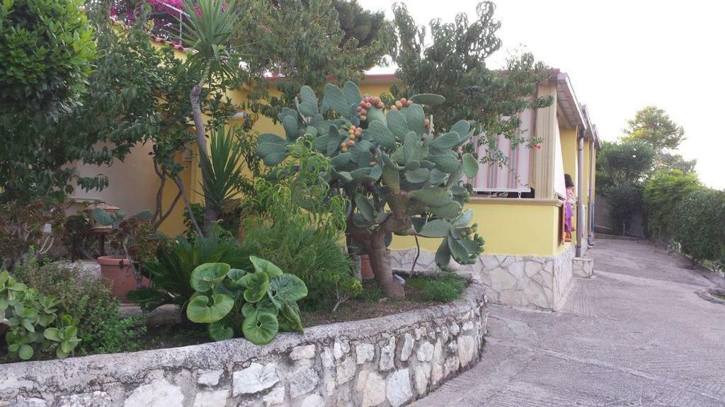 Villa Natura Sea View Vieste Exteriör bild