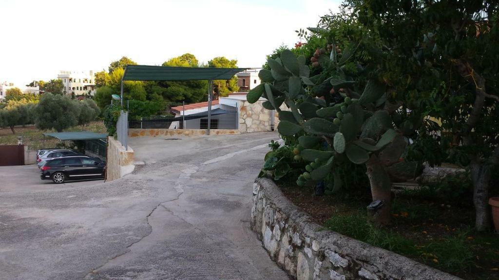 Villa Natura Sea View Vieste Exteriör bild