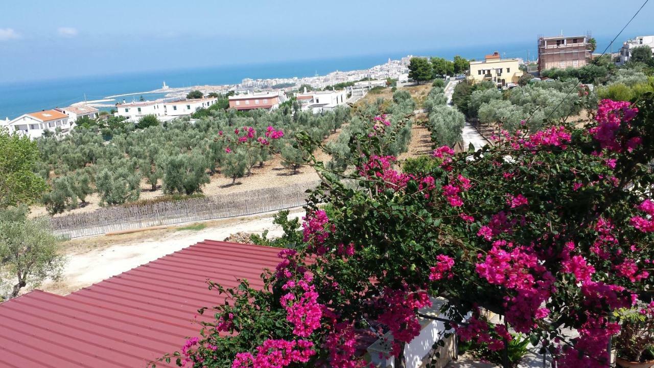 Villa Natura Sea View Vieste Exteriör bild